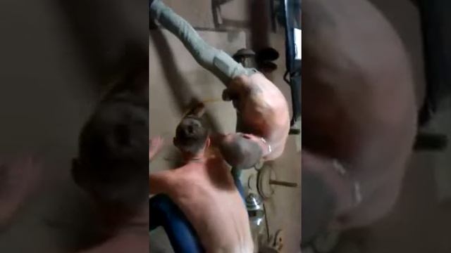 Как сесть на шпагат смотреть онлайн