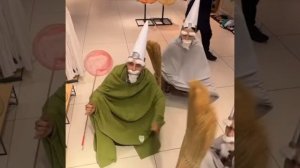 Crawly Gnome Wizard Meme Song