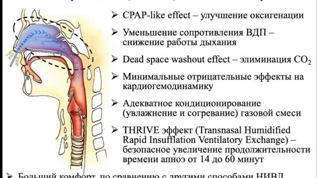 Опыт ОРДС 2021 Власенко А.В. 2021