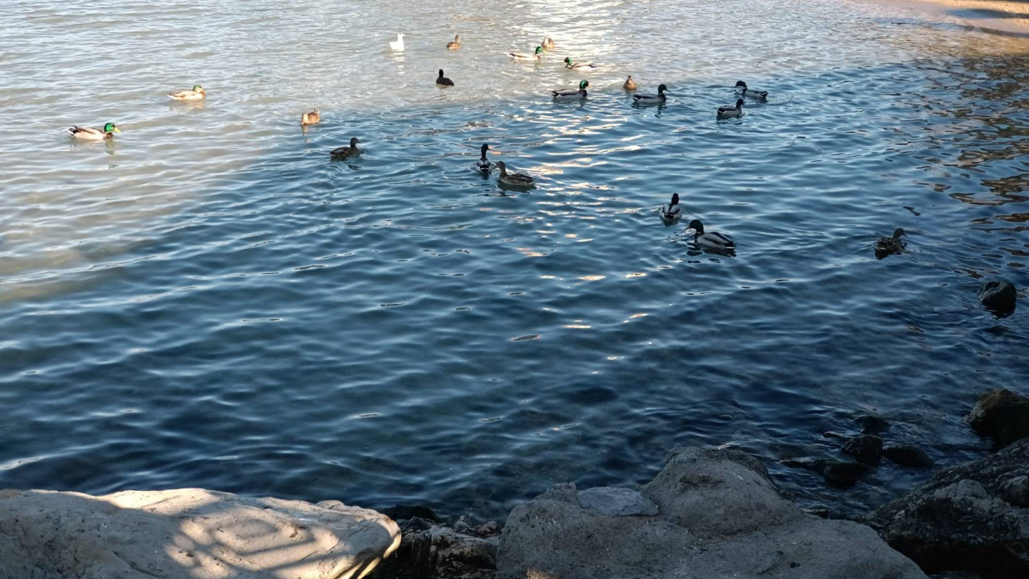 Отпуск в Анапе 2025 смотреть онлайн