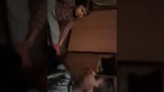 3 летний ребёнок садится на шпагат и считает до 10 по анг смотреть онлайн