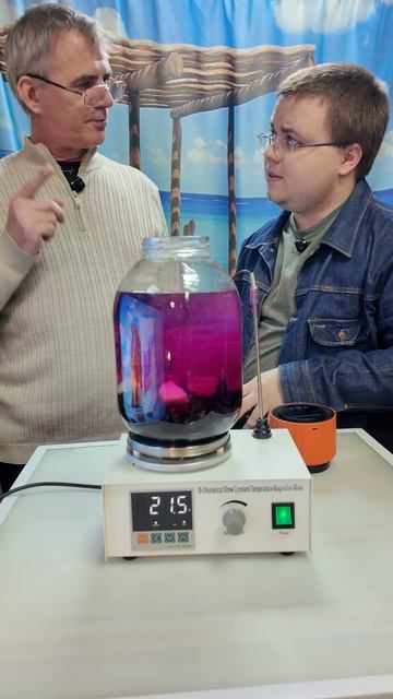 Настойка на смородине, применяем электронный вакуумный упаковщик для банок и дегустация.