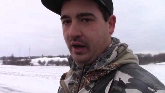 BLACK COYOTE!!! COYOTE HUNTING WITH HOUNDS!!! смотреть онлайн