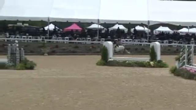 Video of TIN ROSE ridden by MEGAN WINBORNE from ShowNet! смотреть онлайн