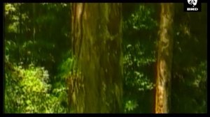 Непутевые заметки 13.01.2002