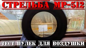 Стрельба из пневматической винтовки МР-512 тест пулек для воздушки