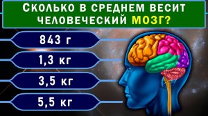 НАСКОЛЬКО ВЫ УМНЫ ДЛЯ СВОЕГО ВОЗРАСТА? Сложный тест на эрудицию и общие знания #насколькотыумный