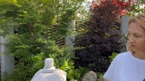 Краснодар ❤️парк Галицкого и его изюминка «Японский сад»🔥