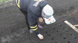 Посадка лука и моркови.2023г.