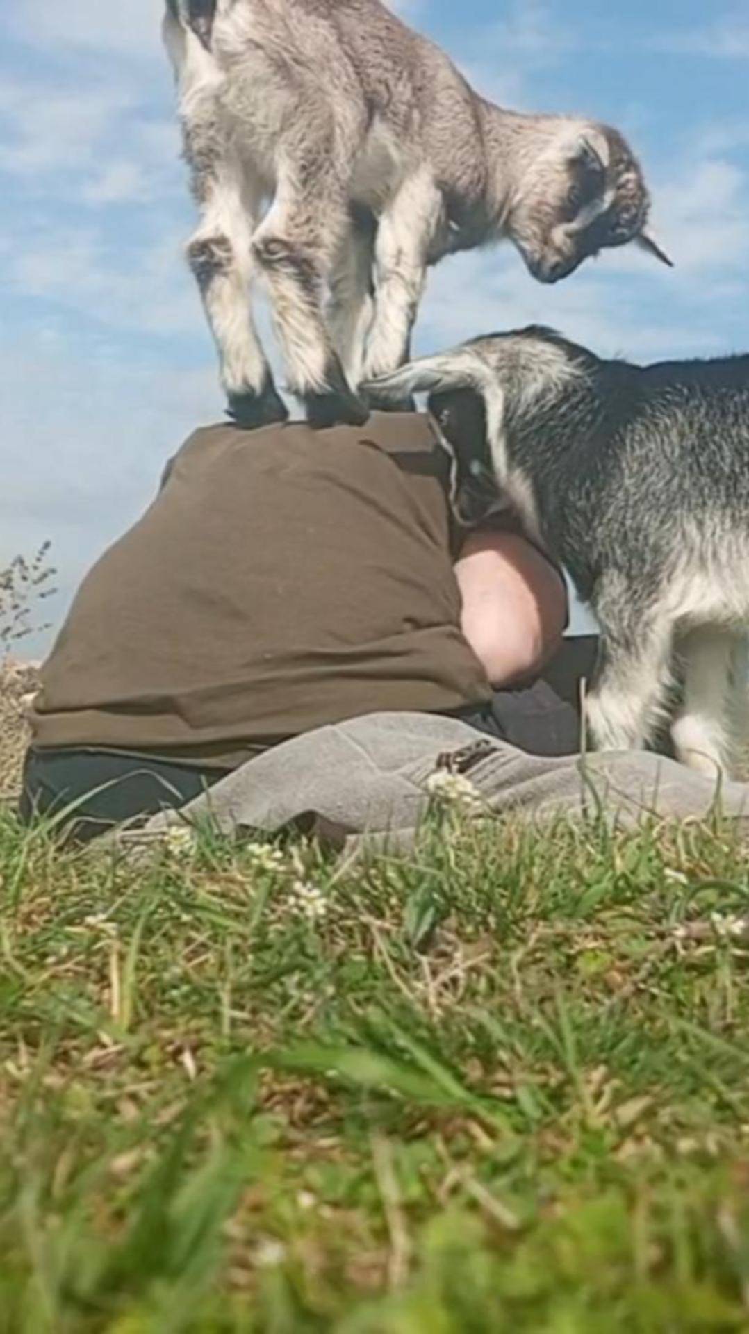 Царь горы смотреть онлайн