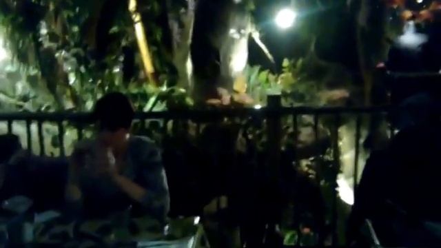 Rain Forest Cafe Gorilla смотреть онлайн