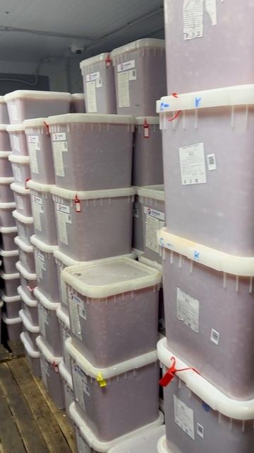 Постоянный отбор только лучшей камчатской икры