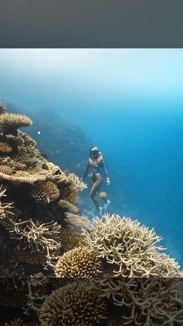 подводный охотник