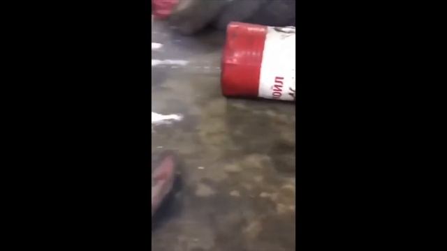 Приколы, выпуск марта смотреть онлайн