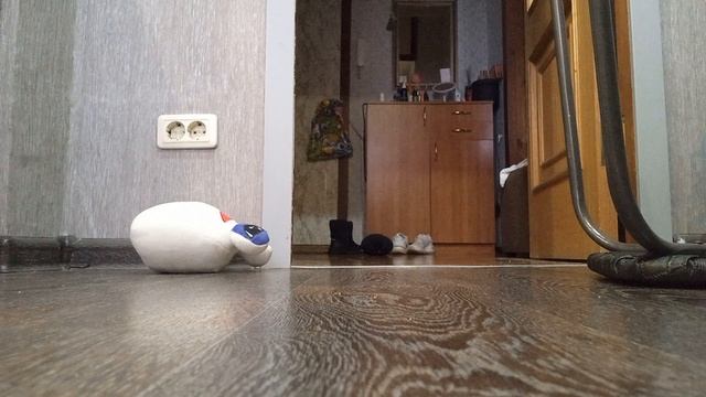 1000016560.mp4 смотреть онлайн