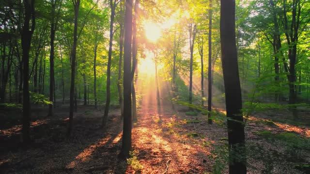 Sunday Chill 2025 ☀️ Chill House смотреть онлайн