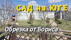 ОБРЕЗКА САДА.Весна.Посёлок Верхнебаканский.НОВОРОССИЙСК