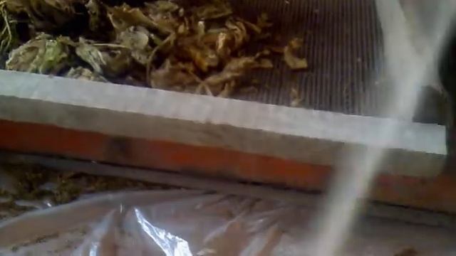 как быстро нанизывать табачный лист на шпагат смотреть онлайн
