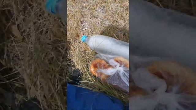 СЕНОКОС 2020) ВЫЕХАЛ НА СОЛОМУ) 2500 ТЮКОВ ЗА РАБОЧИЙ ДЕНЬ!!! смотреть онлайн