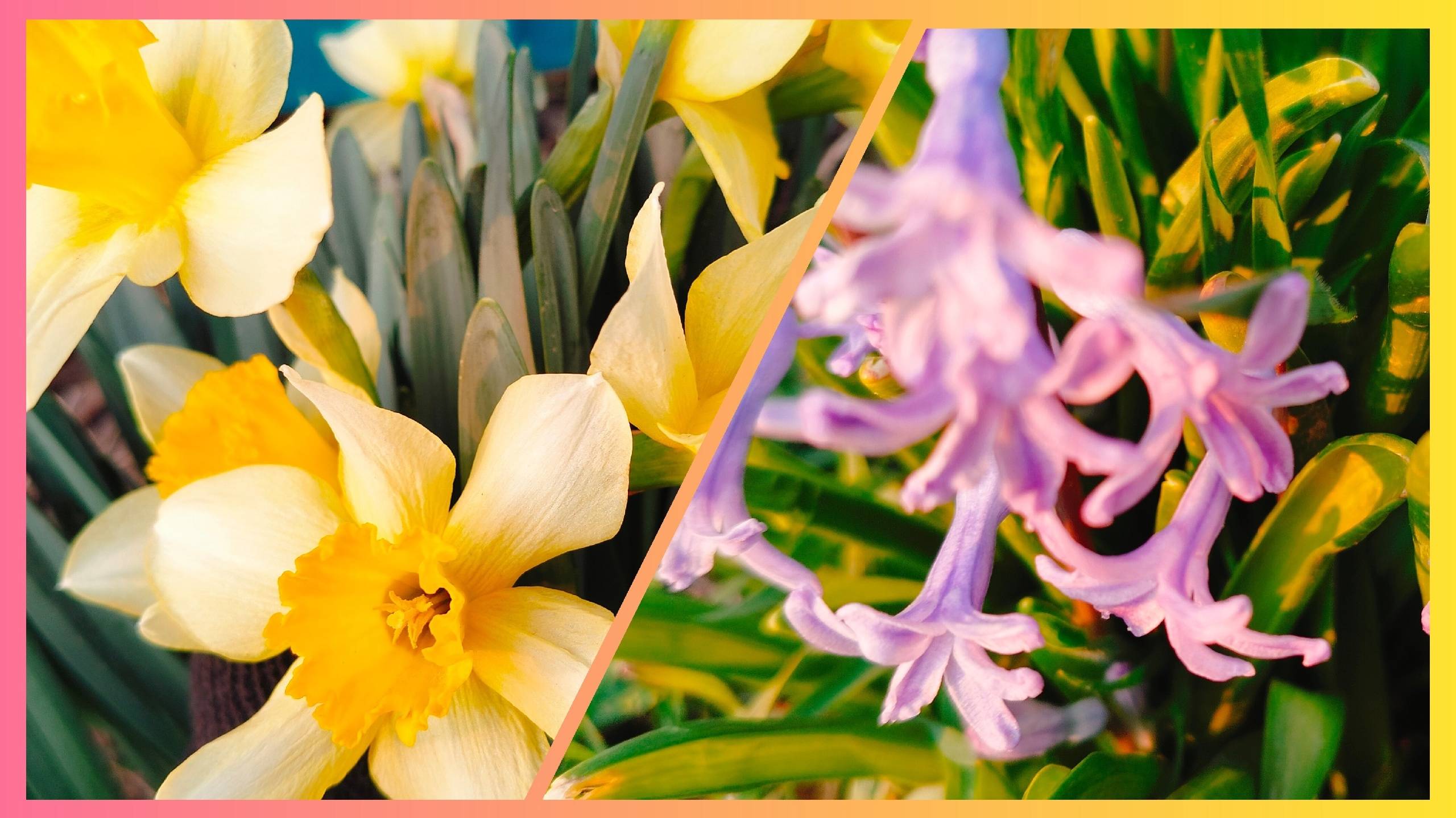 Утренние хотелки.Холодно однако.Отдохнули , потусили. смотреть онлайн