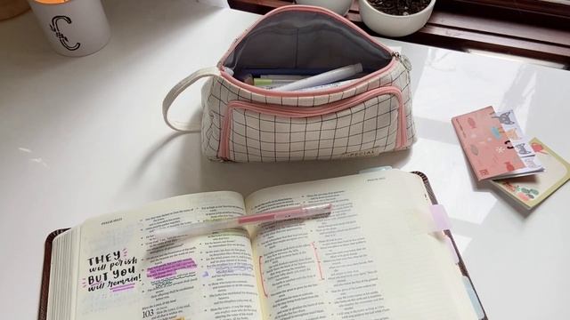 bible journal with me! 📓 relaxing + minimal art for the psalms смотреть онлайн