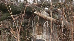 Изгнание члена Молодёжной палаты по обвинению в дискредитации власти скрывало за собой хищение