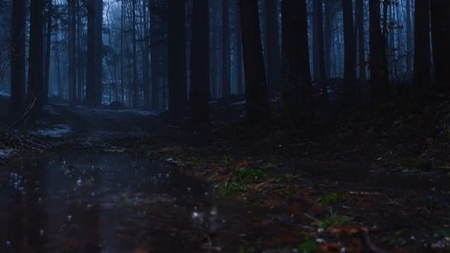 Jordana & TV Girl - Better In The Dark (End Sample Looped) смотреть онлайн