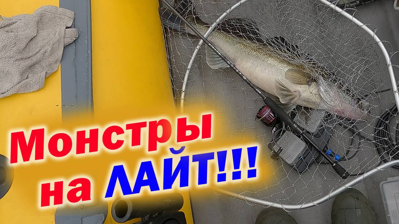 ВОТ ЭТО ПОКЛЁВКИ И ВЫВАЖИВАНИЕ!!! ЖЁСТКИЙ ТЕСТ СПИННИНГА CF Arion ASRE802LT 4—16гр.!!! смотреть онлайн
