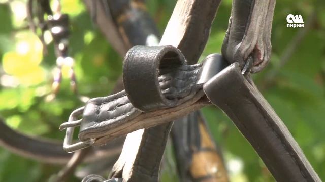 Майыптыгына карабай үй-бүлөсүн ак мээнети менен баккан ата смотреть онлайн