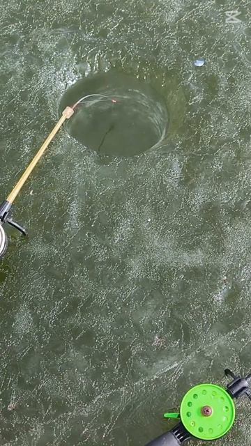 Отпустил маленького карася, а поймал крупного карася =) смотреть онлайн