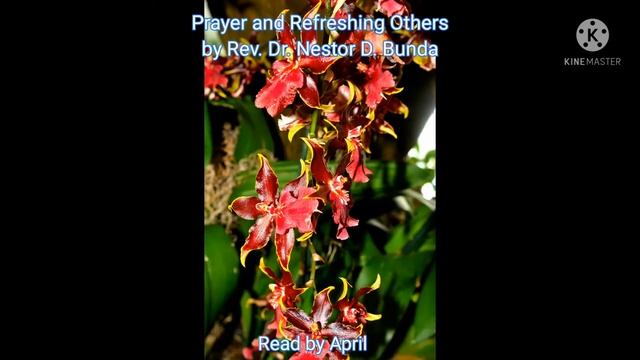 Prayer and Refreshing Others by Rev. Dr. Nestor D. Bunda смотреть онлайн