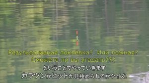 Херабуна. Поклёвки карася