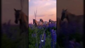 ВОТ И СТАРОСТЬ ПРИШЛА