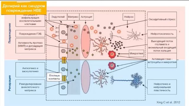 ПОН после операции Григорьев Е.В. 2021