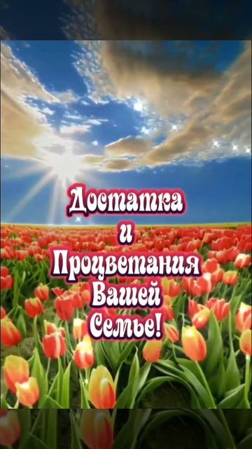 20.03.25 С Днём Весеннего Равноденствия 🌞🌞🌞 смотреть онлайн