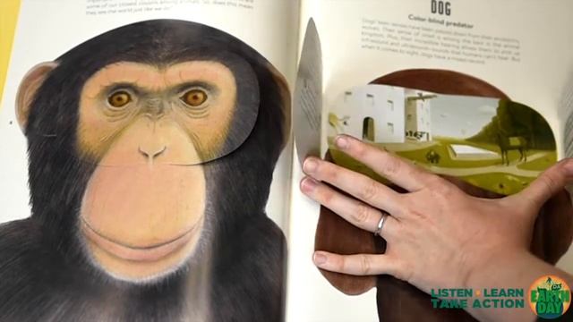 Green Reads for Tweens & Teens смотреть онлайн