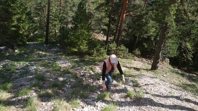 Биказ Румыния идём в горы(2)