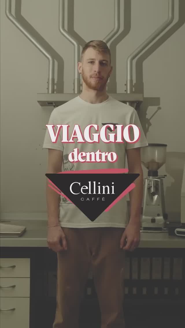 Путешествие вглубь Cellini – больше, чем просто история закулисья ✨