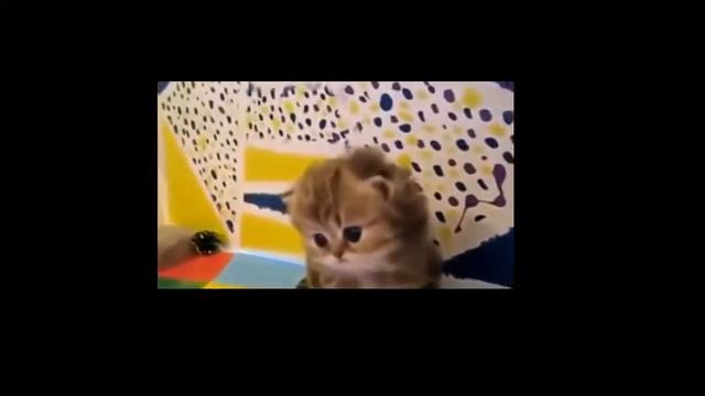 Подборка №5 смотреть онлайн