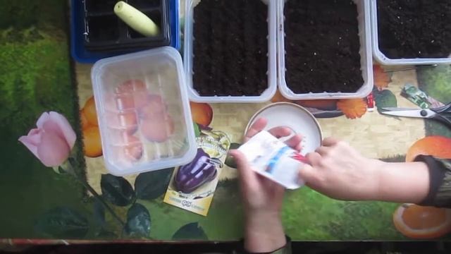 ✔Сеем перец и баклажаны на рассаду. смотреть онлайн