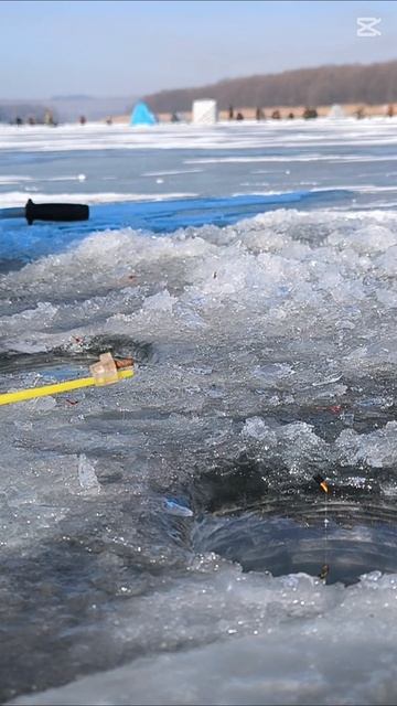 Отпустил судака и поймал карася. смотреть онлайн