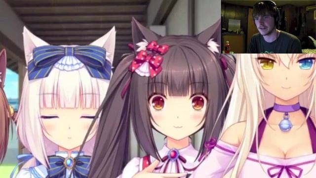 Defiling Their Purity- Nekopara Vol0 Episode3 смотреть онлайн