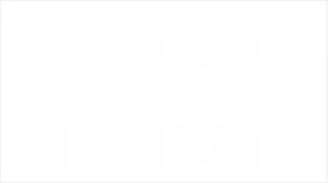 ФОН /БЕЛЫЙ ФОН /ФУТАЖ