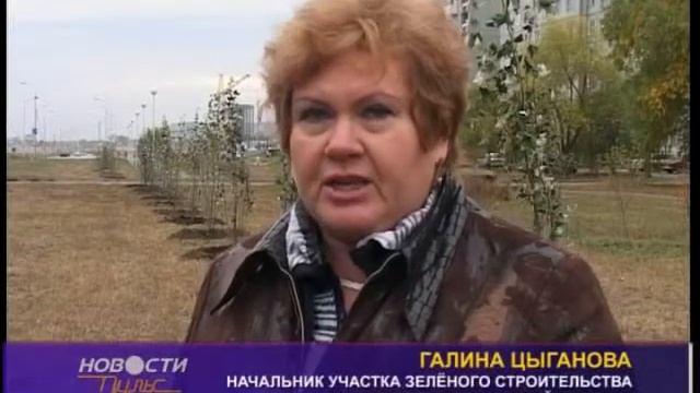 Благоустроим город смотреть онлайн