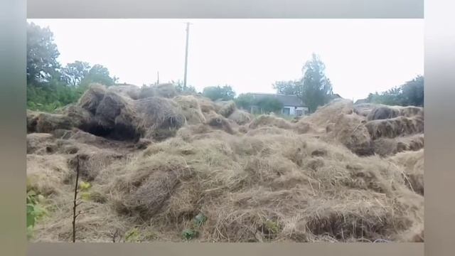 Шпагат, Сальто,Стойка смотреть онлайн