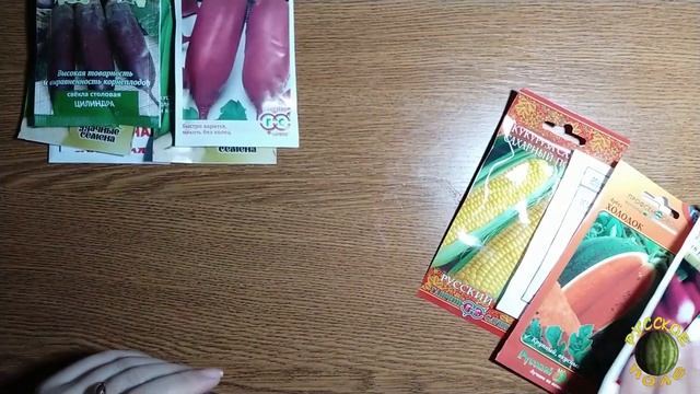 Свёкла, редис, кукуруза и другие семена. Какие купила и будем сажать в этом году. смотреть онлайн