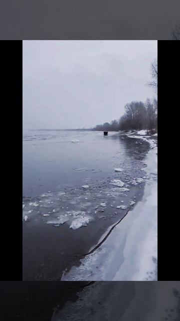 Не думал что приобрету такой танк смотреть онлайн