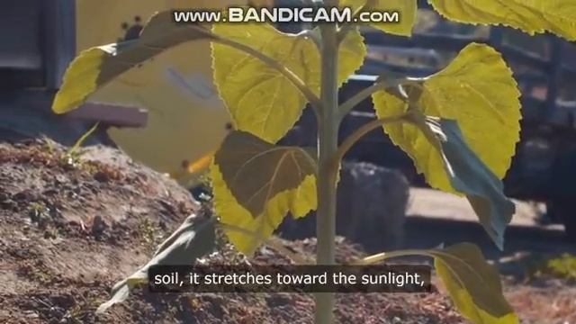 The process flow of every object part 1 смотреть онлайн