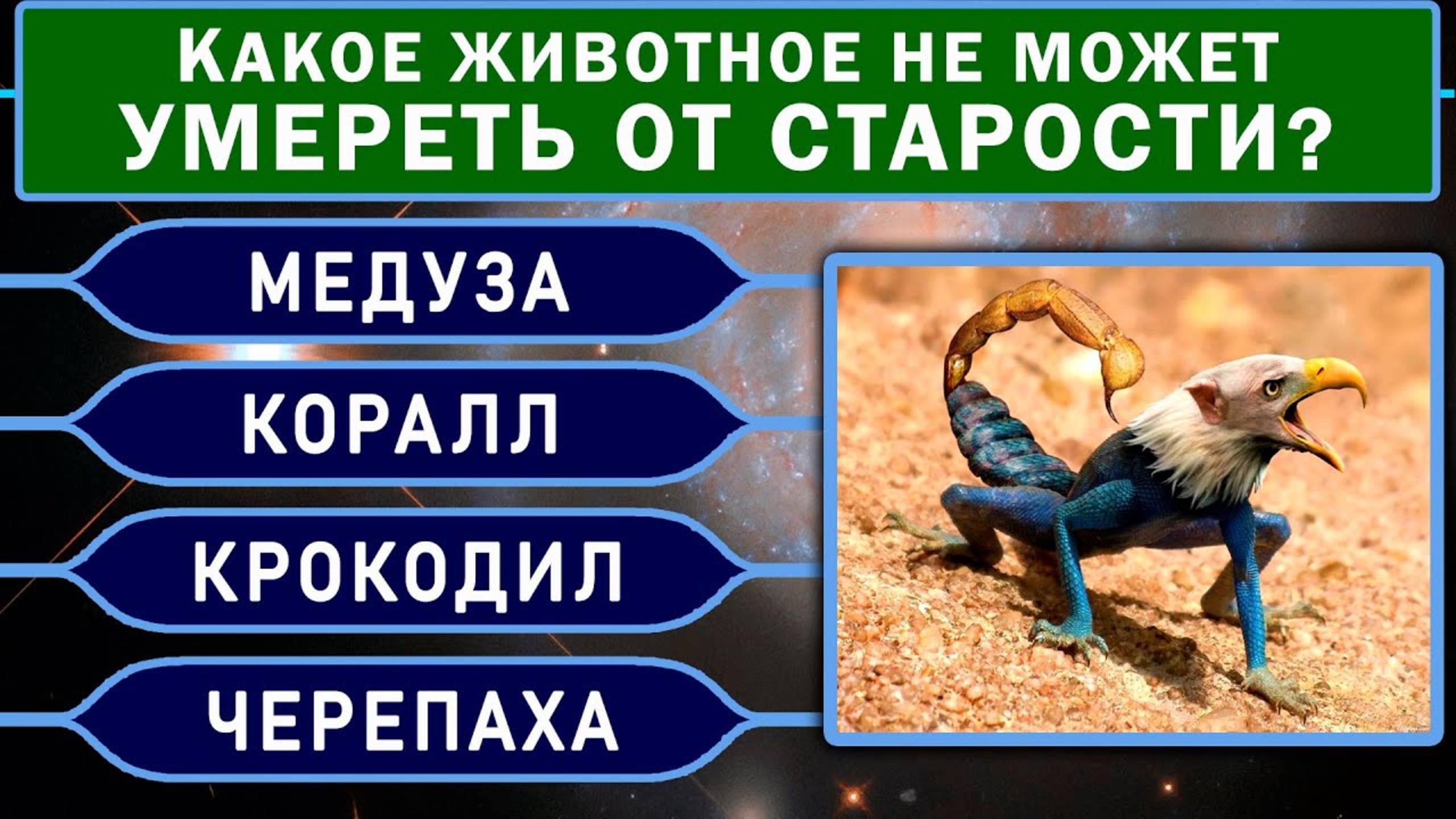 ВЫ ГЕНИЙ? У вас Невероятный Ум, если Сумеете Ответить Верно на 8 из 15 вопросов. Тест на Эрудицию