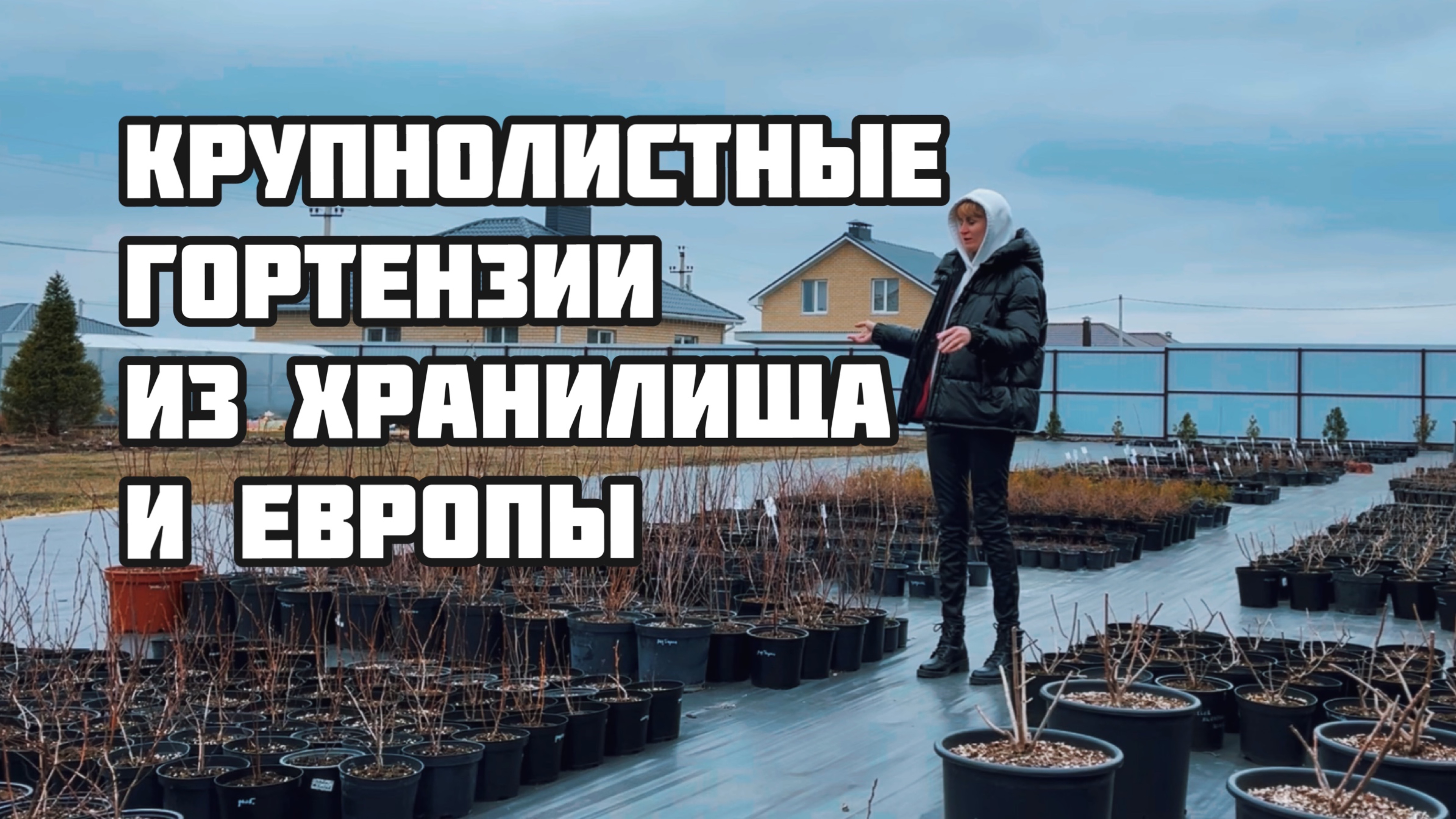 Снесли грядки. Напротив 15 гектар Wildberries. Воронежская область 1сезон 3серия